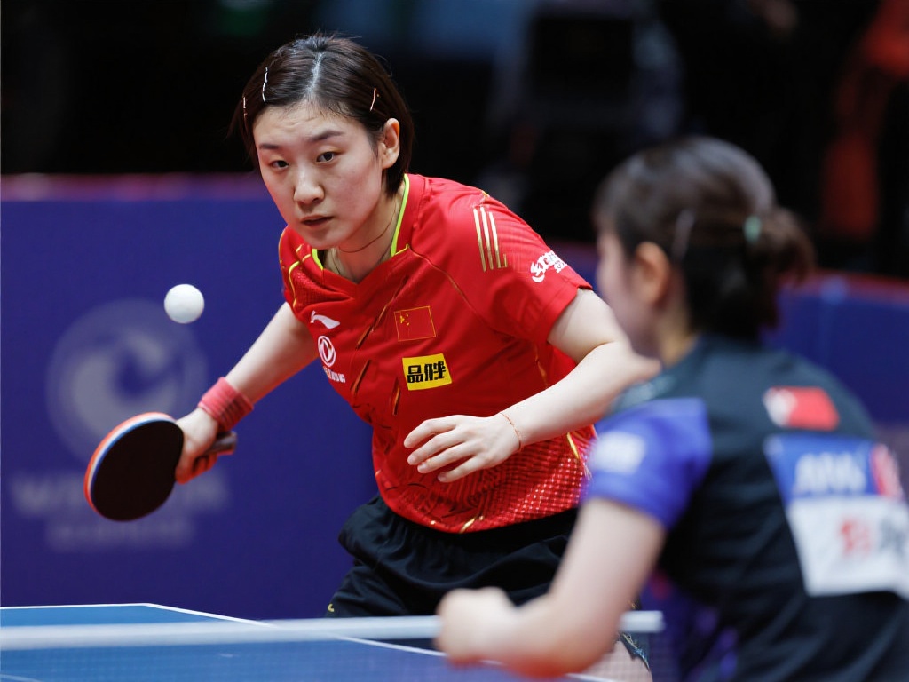 目光逐渐聚 目光逐渐聚